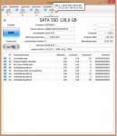 P4.jpg