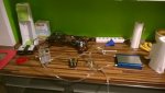 WP_20140412_005.jpg