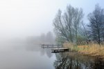 DSC_1631.jpg