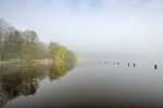 DSC_1663.jpg