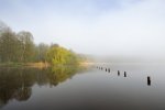 DSC_1668.jpg