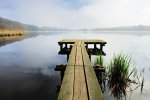 DSC_1675.jpg
