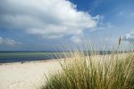 DSC_1728.jpg