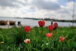 DSC_1740.jpg