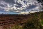 IMG_1932_3_4_tonemapped-1.jpg