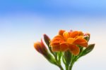 20140418_133049_0014_900x600.jpg
