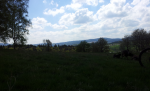 ForumRunner_20140420_115805.png
