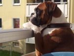 20120922_093857.jpg