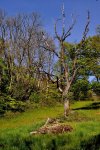 DSC_0466.jpg