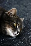 DSC_0487_01.JPG