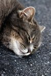 DSC_0488.JPG