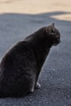 DSC_0491.JPG