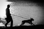 IMG_9718.jpg