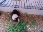 ForumRunner_20140508_220804.png