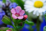 DSC_1954.jpg