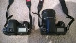 WP_20140423_008.jpg