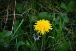 DSC_1829.JPG