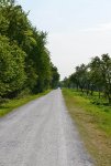 DSC_1919.JPG
