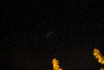 IMG_1009.jpg