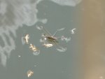 14028041433_2f3d3cabbf_k.jpg