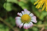 IMG_0763.JPG