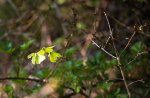 IMG_2154-1-3.jpg