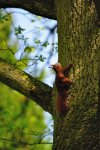 DSC_2044.jpg