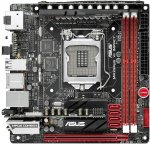 976156.jpg