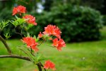 DSC_2046.jpg