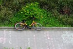 DSC_2065.jpg