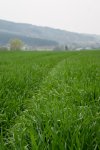 DSC04359.jpg