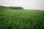 DSC04375.jpg
