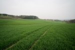 DSC04387.jpg
