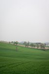 DSC04397.jpg