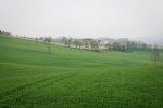 DSC04404.jpg