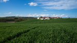 DSC04474.jpg