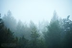 13995218696_94eea628d1_b.jpg