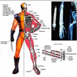 Wolverine-Adamantium.jpg