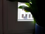 SDC10074.jpg