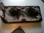 IMG00249-20110325-1040.jpg