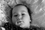 IMG_4815 900.jpg