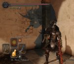 ds2.jpg