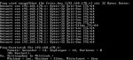 ping3.jpg