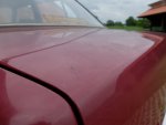 DSCF2255.jpg