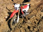 IMG_20140330_125032.jpg