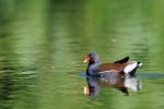 DSC_5027.jpg