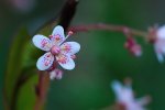 DSC_2320.jpg