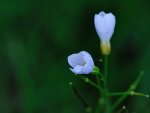 DSC_2348.jpg