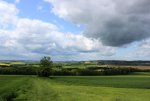 IMG_1604.JPG