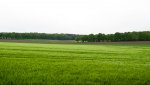 IMGP0159.jpg